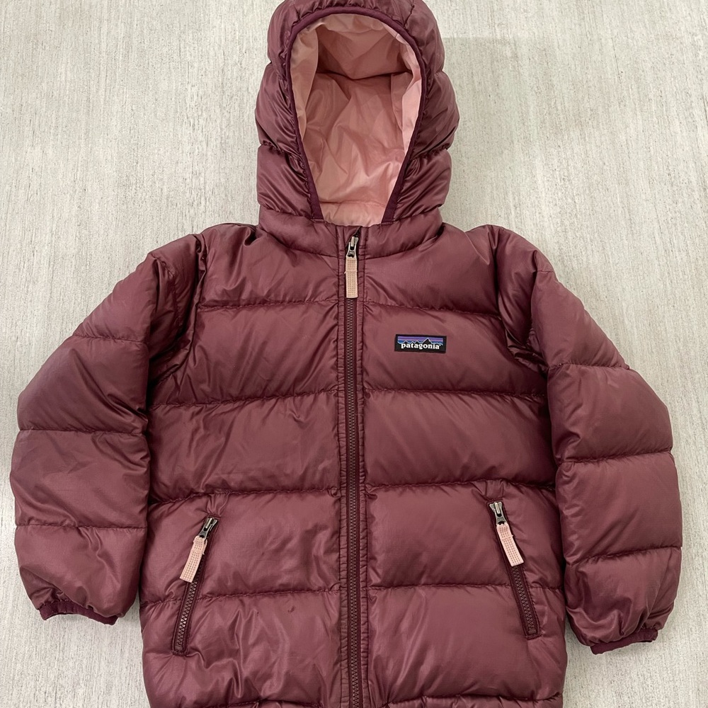 Patagonia Hi-Loft Down Hoody/ Puffer Jacket